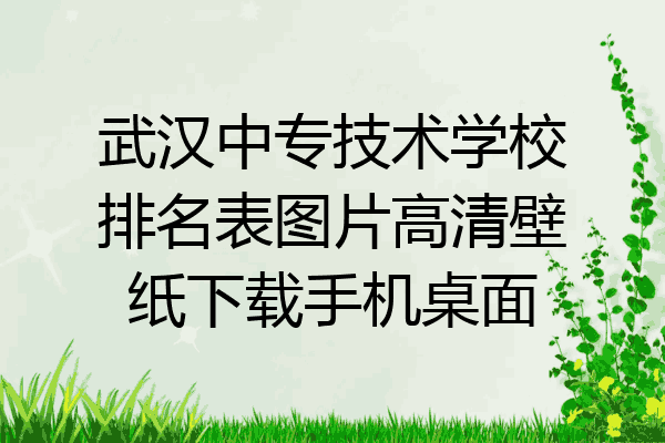 武汉中专技术学校排名表图片高清壁纸下载手机桌面