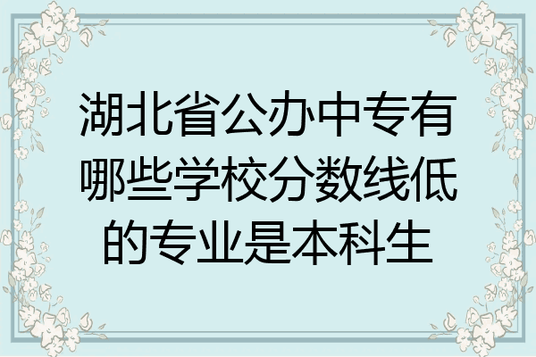 湖北省公办中专有哪些学校分数线低的专业是本科生