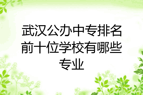武汉公办中专排名前十位学校有哪些专业