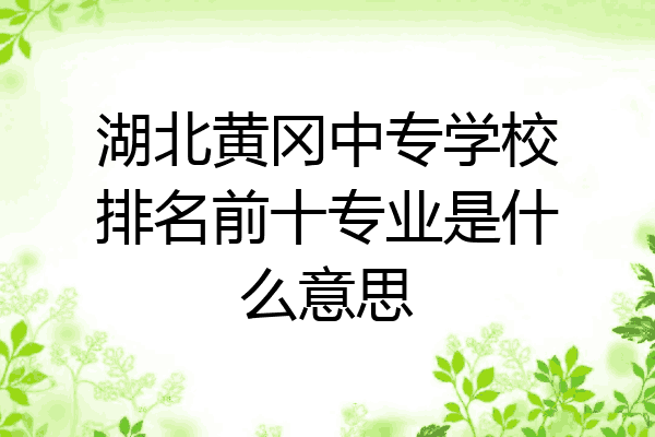 湖北黄冈中专学校排名前十专业是什么意思