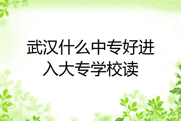 武汉什么中专好进入大专学校读