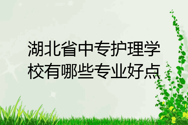 湖北省中专护理学校有哪些专业好点