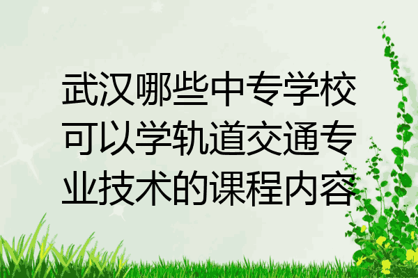 武汉哪些中专学校可以学轨道交通专业技术的课程内容