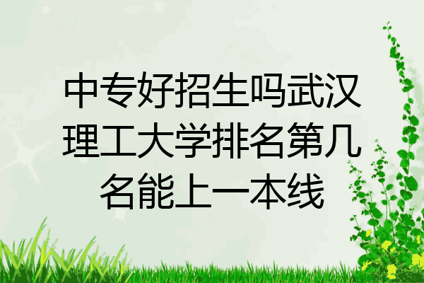 中专好招生吗武汉理工大学排名第几名能上一本线