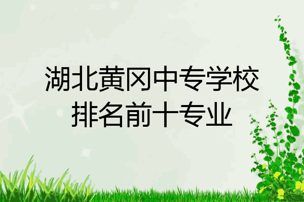 湖北黄冈中专学校排名前十专业