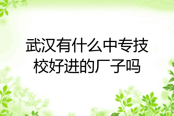 武汉有什么中专技校好进的厂子吗