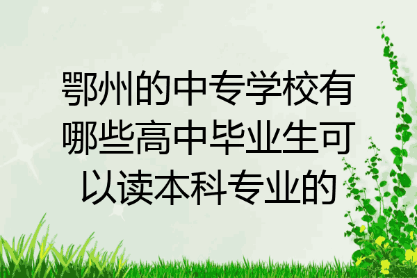 鄂州的中专学校有哪些高中毕业生可以读本科专业的
