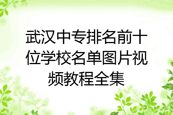 武汉中专排名前十位学校名单图片视频教程全集