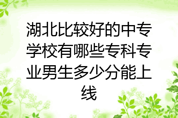 湖北比较好的中专学校有哪些专科专业男生多少分能上线