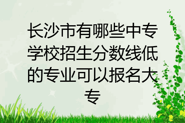 长沙市有哪些中专学校招生分数线低的专业可以报名大专