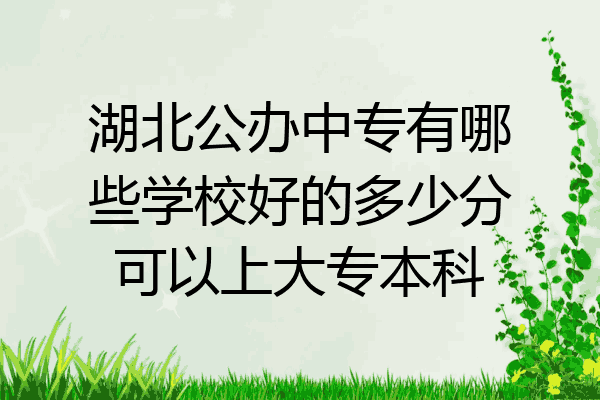 湖北公办中专有哪些学校好的多少分可以上大专本科