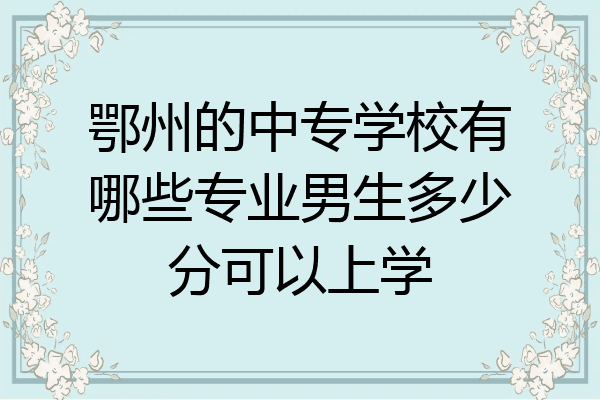 鄂州的中专学校有哪些专业男生多少分可以上学