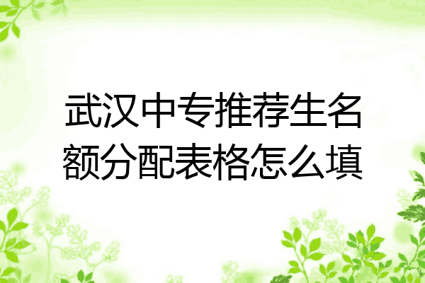武汉中专推荐生名额分配表格怎么填