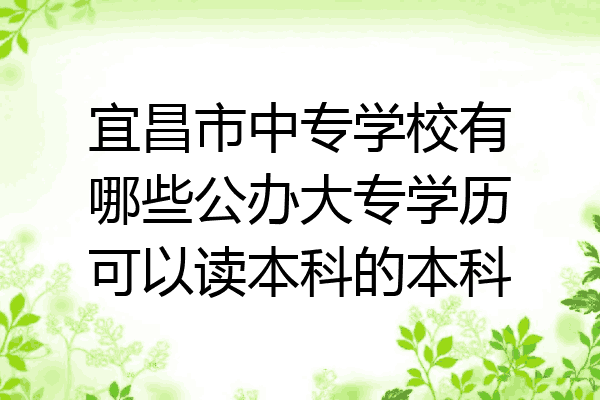 宜昌市中专学校有哪些公办大专学历可以读本科的本科