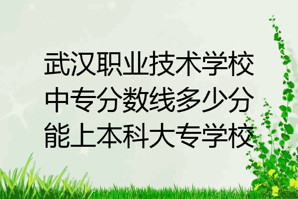 武汉职业技术学校中专分数线多少分能上本科大专学校