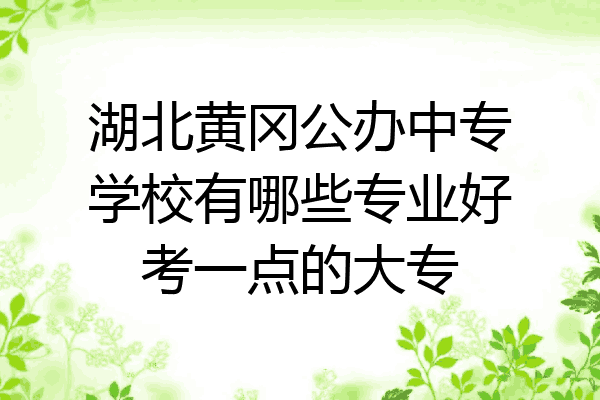 湖北黄冈公办中专学校有哪些专业好考一点的大专