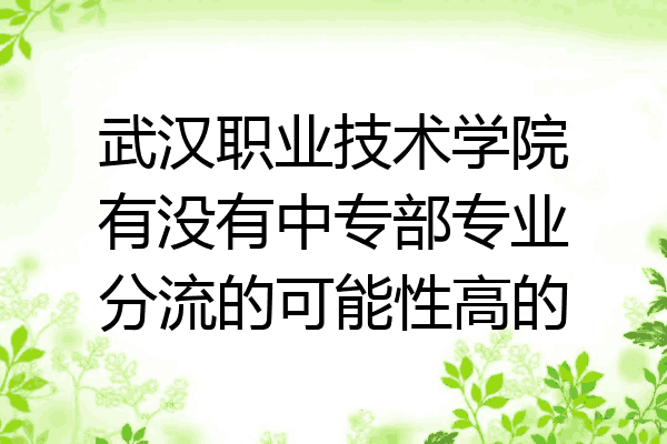 武汉职业技术学院有没有中专部专业分流的可能性高的