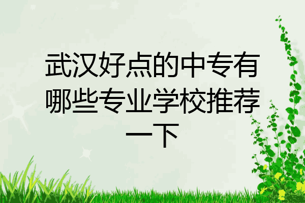 武汉好点的中专有哪些专业学校推荐一下