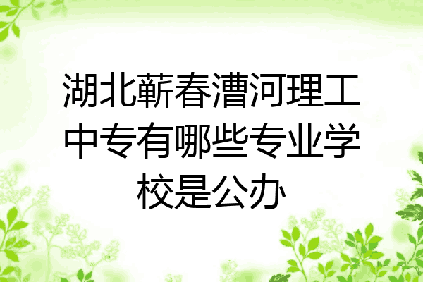 湖北蕲春漕河理工中专有哪些专业学校是公办
