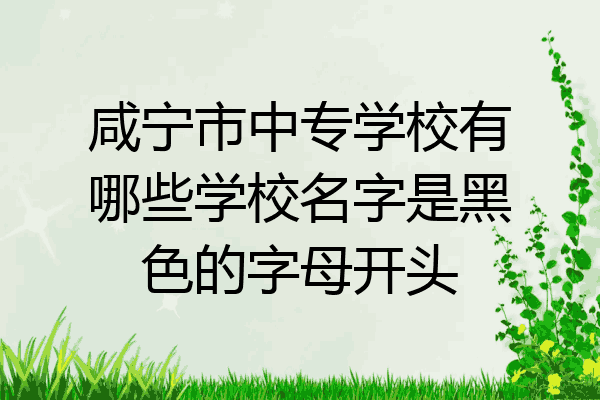 咸宁市中专学校有哪些学校名字是黑色的字母开头