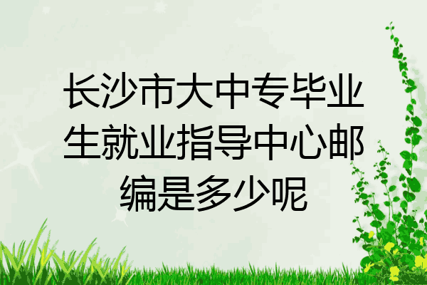 长沙市大中专毕业生就业指导中心邮编是多少呢