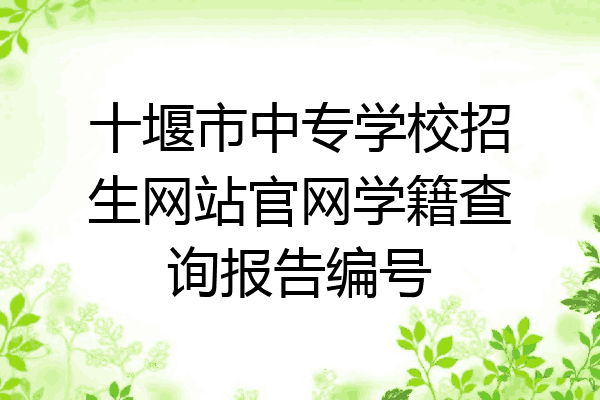 十堰市中专学校招生网站官网学籍查询报告编号