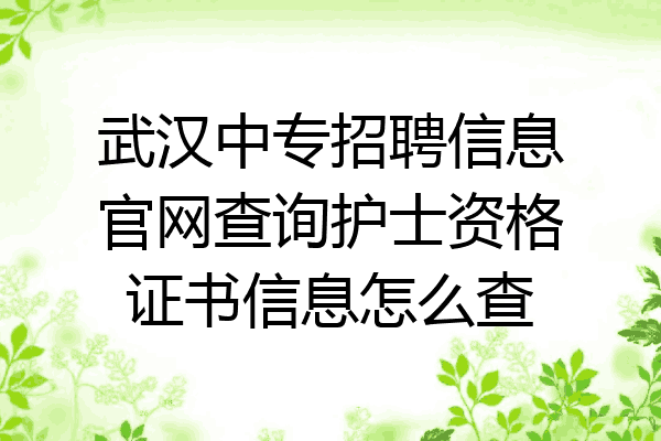 武汉中专招聘信息官网查询护士资格证书信息怎么查