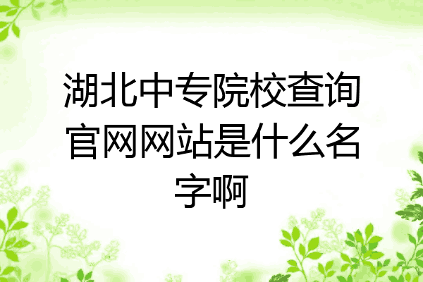 湖北中专院校查询官网网站是什么名字啊