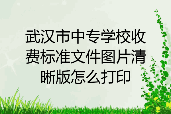 武汉市中专学校收费标准文件图片清晰版怎么打印