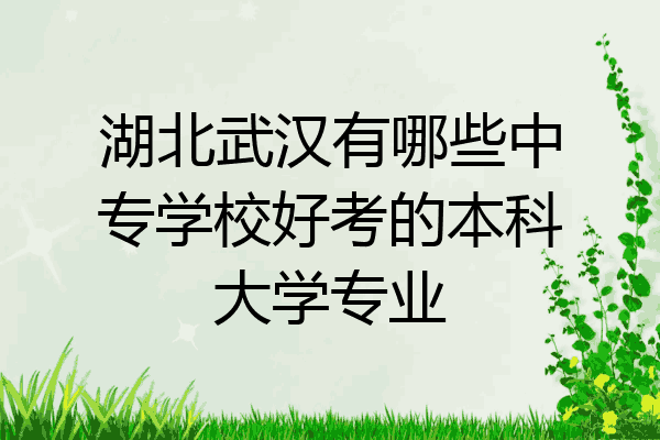 湖北武汉有哪些中专学校好考的本科大学专业