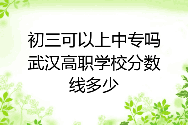 初三可以上中专吗武汉高职学校分数线多少
