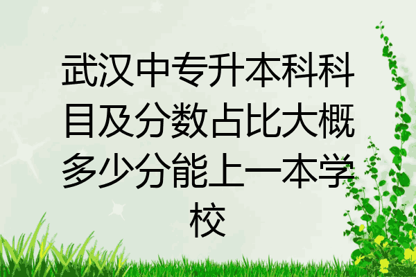 武汉中专升本科科目及分数占比大概多少分能上一本学校