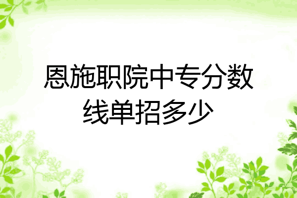 恩施职院中专分数线单招多少