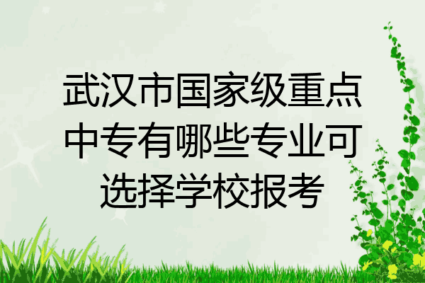 武汉市国家级重点中专有哪些专业可选择学校报考