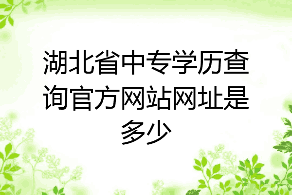 湖北省中专学历查询官方网站网址是多少