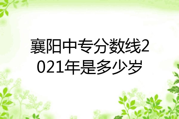 襄阳中专分数线2021年是多少岁