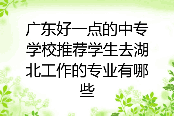 广东好一点的中专学校推荐学生去湖北工作的专业有哪些