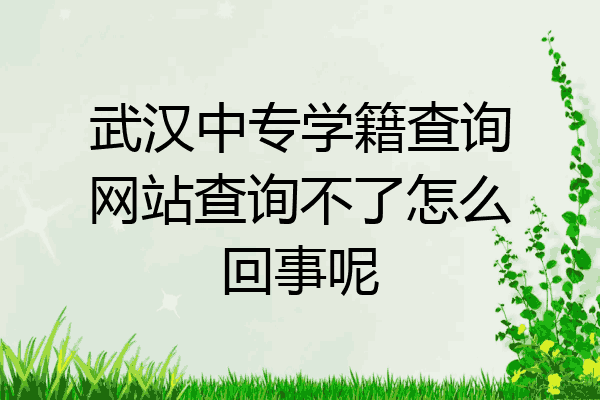 武汉中专学籍查询网站查询不了怎么回事呢