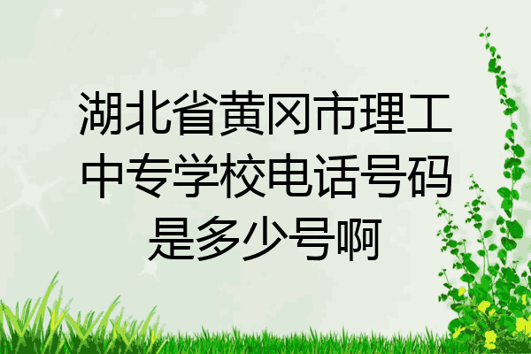 湖北省黄冈市理工中专学校电话号码是多少号啊