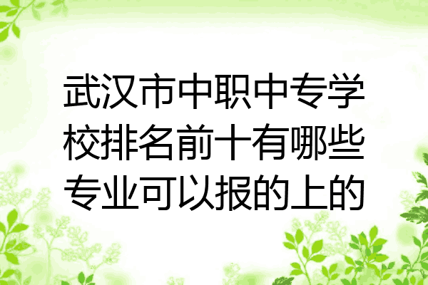 武汉市中职中专学校排名前十有哪些专业可以报的上的