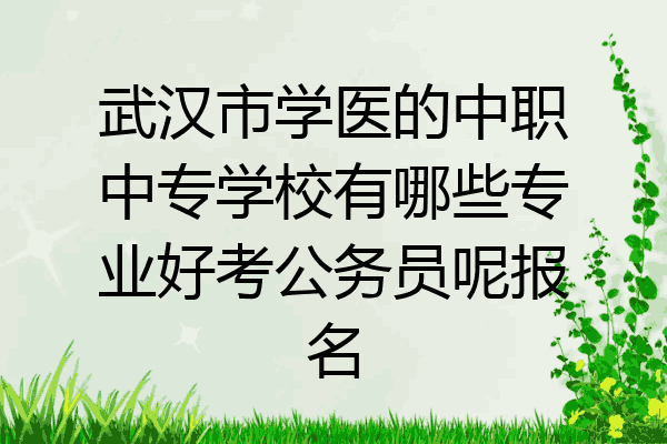 武汉市学医的中职中专学校有哪些专业好考公务员呢报名