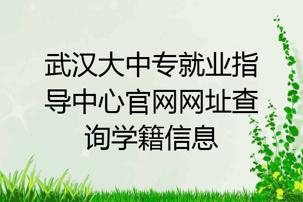 武汉大中专就业指导中心官网网址查询学籍信息