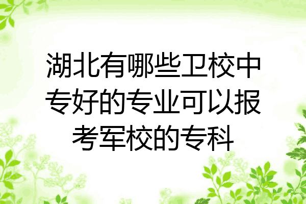 湖北有哪些卫校中专好的专业可以报考军校的专科