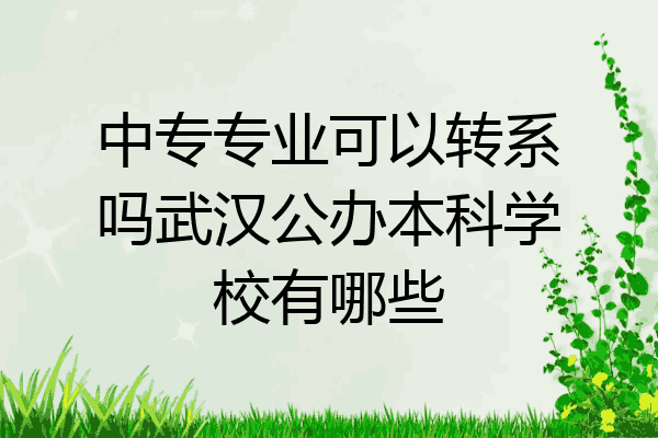 中专专业可以转系吗武汉公办本科学校有哪些