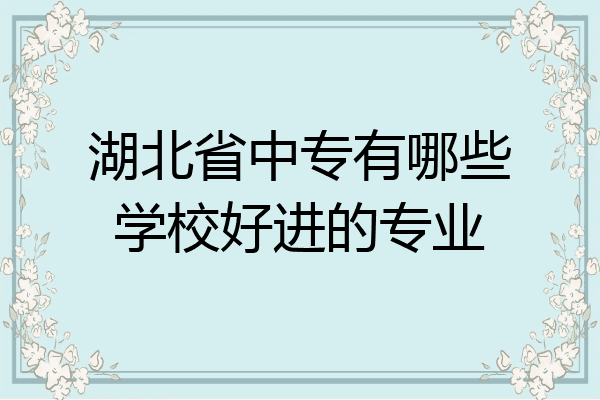湖北省中专有哪些学校好进的专业