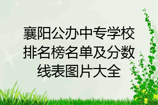 襄阳公办中专学校排名榜名单及分数线表图片大全