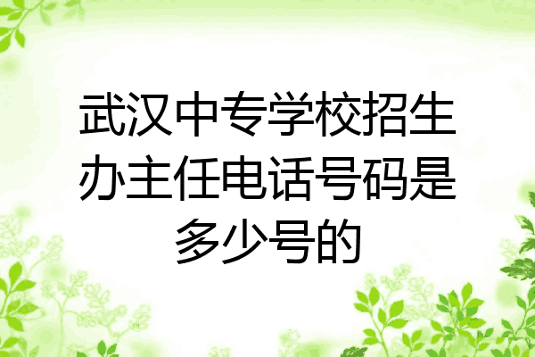 武汉中专学校招生办主任电话号码是多少号的