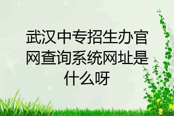 武汉中专招生办官网查询系统网址是什么呀