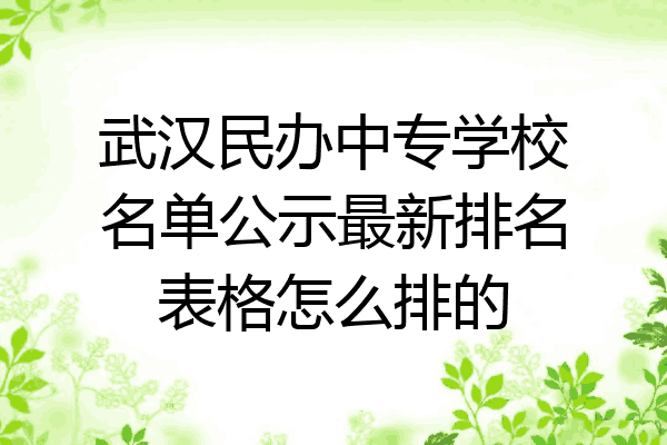 武汉民办中专学校名单公示最新排名表格怎么排的