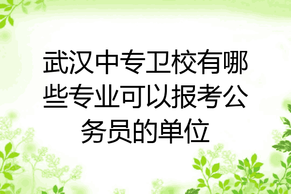 武汉中专卫校有哪些专业可以报考公务员的单位